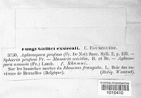 Image Associated With the Occurence